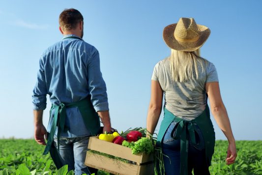 Conjoint du chef d'entreprise : une nouvelle attestation à fournir pour choisir son statut