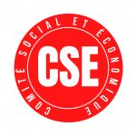 Mise en place ou renouvellement du CSE : mentions obligatoires du PAP